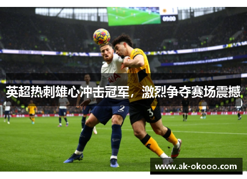 英超热刺雄心冲击冠军,激烈争夺赛场震撼 英超热刺雄心冲击冠军,激烈争夺赛场震撼