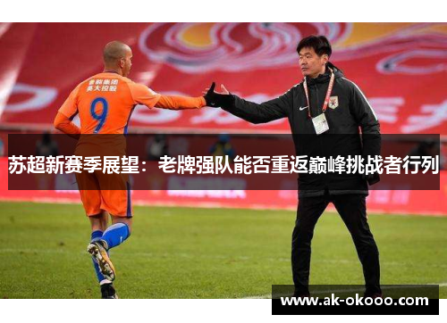 苏超新赛季展望：老牌强队能否重返巅峰挑战者行列